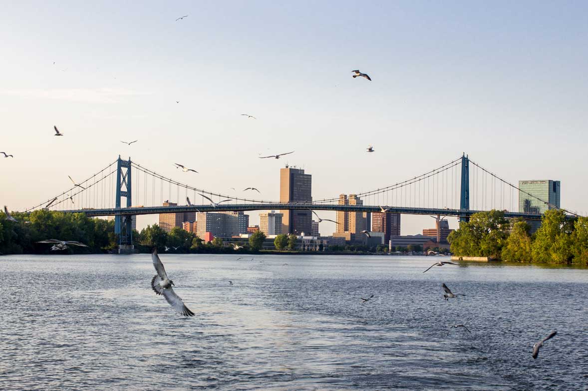 Seagulls In Front Of Toledo Oh Bridge Taken From The Maumee River